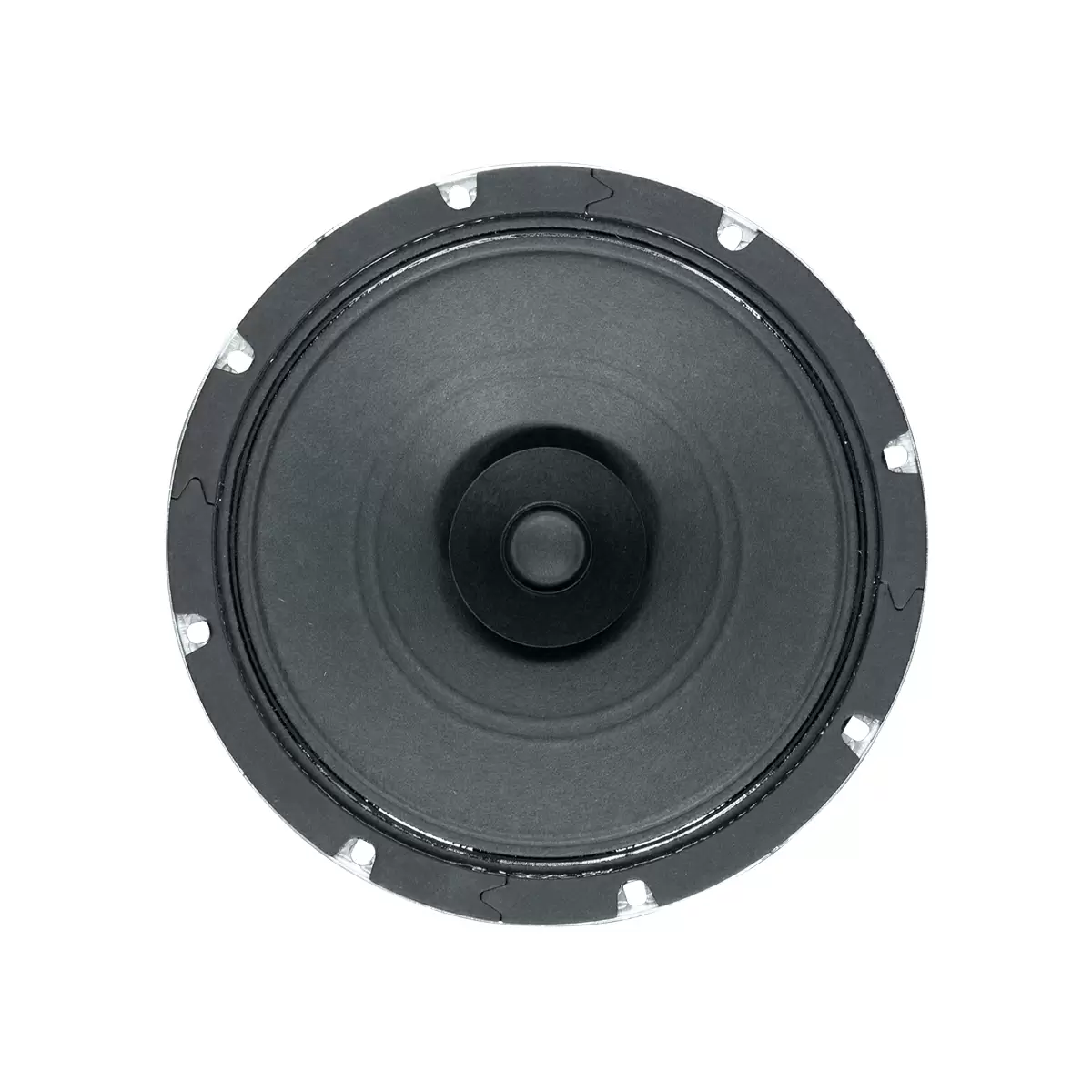 8 inch Dual Cone Speaker